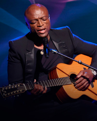 artist-seal